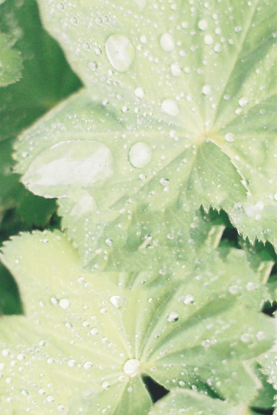 image002