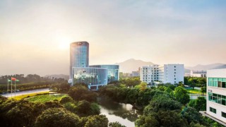 荣誉｜三棵树AI公益项目获艾菲国际金奖