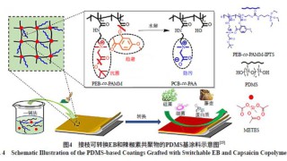 文章推荐｜海化院郭常青等：聚二甲基硅氧烷在涂料中的应用研究进展